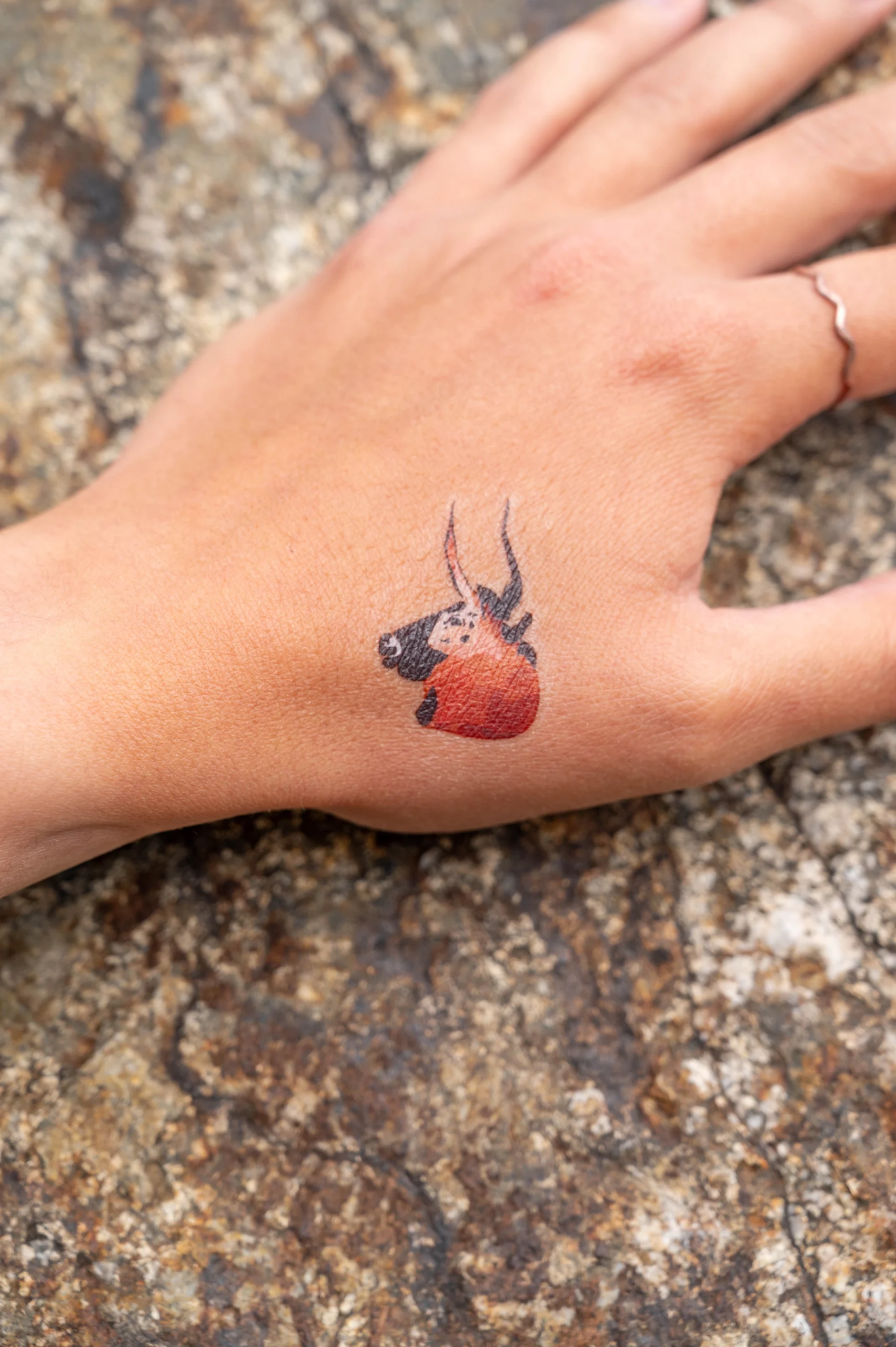 namaki-x-lascaux-tatouage-enfant-tatouages-ph-m-res image 7