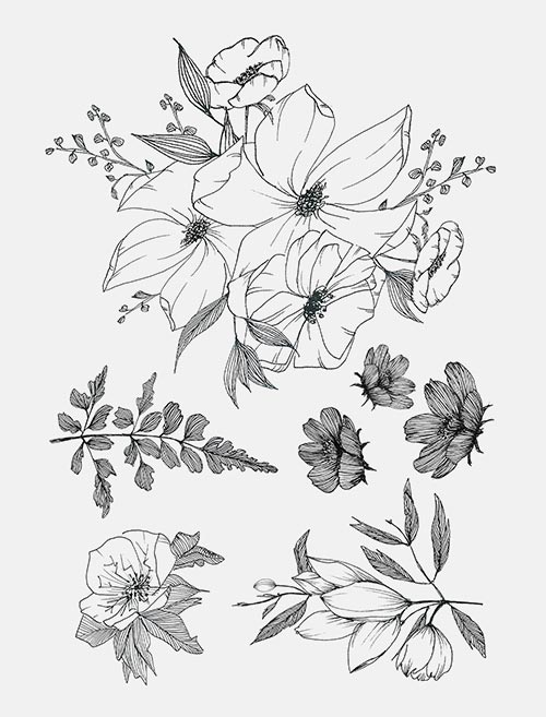 bernard-forever-monocotyl-done-herbier-tatouage-ph-m-re image 2